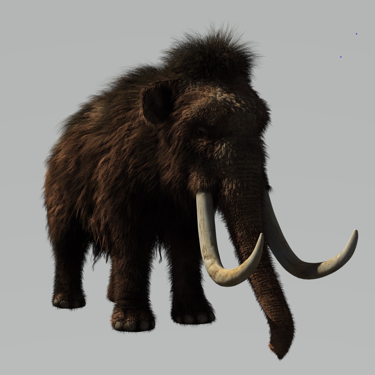 wooly mammoth