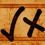 Consumer and Provider Survey
